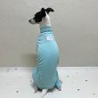 画像17: イタグレ服 S M L XL 小型犬 中型犬 春夏 doggystar 接触冷感 クール ロンパース つなぎ 即日発送 (17)