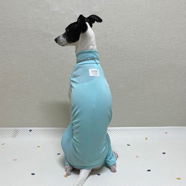 画像17: イタグレ服 S M L XL 2XL 3XL 接触冷感 クール ロンパース つなぎ 小型犬 中型犬 大型犬 春夏 doggystar ドッギースター 即日発送 (17)