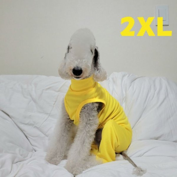画像1: ベドリントンテリア服 2XL スカーフ付 接触冷感 クール ロンパース つなぎ 大型犬 春夏 doggystar   (1)
