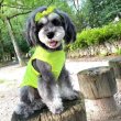画像1: 犬服 接触 冷感 Tシャツ スマイル 無地 S M L XL 2XL 3XL 4XL 5XL 6XL小型犬 中型犬 大型犬 ひんやり クール ベスト スカーフ付き 熱中症対策 doggystar ドッギースター 即日発送出来ます (1)