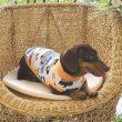 画像14: ダックスフンド 服 Tシャツ コミック柄 小型犬 中型犬 S M L XL 春夏秋冬 ダックス おしゃれ 犬 洋服  doggystar ドッギースター 即日発送致します (14)