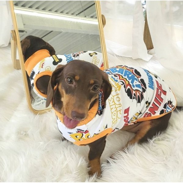 画像16: ダックスフンド 服 セール Tシャツ コミック柄 小型犬 中型犬 S M L XL 春夏秋冬 ダックス おしゃれ 犬 洋服  doggystar ドッギースター 即日発送致します (16)
