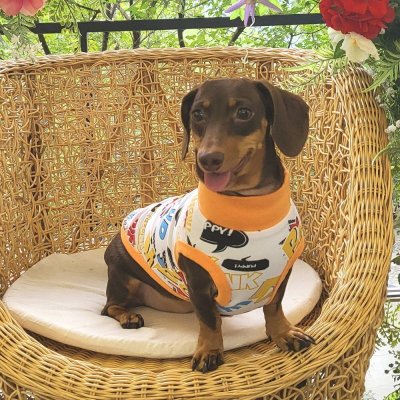 画像1: ダックスフンド 服 セール Tシャツ コミック柄 小型犬 中型犬 S M L XL 春夏秋冬 ダックス おしゃれ 犬 洋服  doggystar ドッギースター 即日発送致します