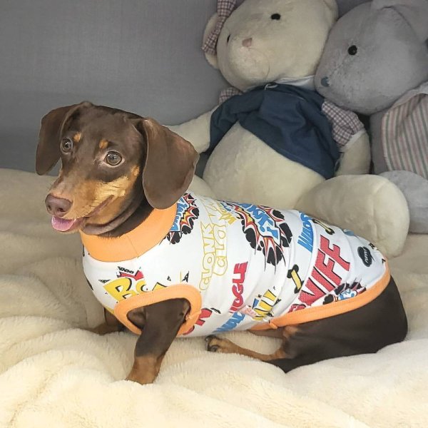 画像1: ダックスフンド 服 Tシャツ コミック柄 小型犬 中型犬 S M L XL 春夏秋冬 ダックス おしゃれ 犬 洋服  doggystar ドッギースター 即日発送致します (1)