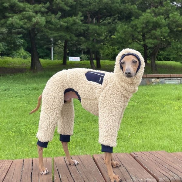 画像11: イタグレ服 XL 2XL 3XL セール ボア ポケット フリース ロンパース つなぎ 小型犬 中型犬 大型犬 冬服 doggystar ドッギースター 即日発送致します (11)