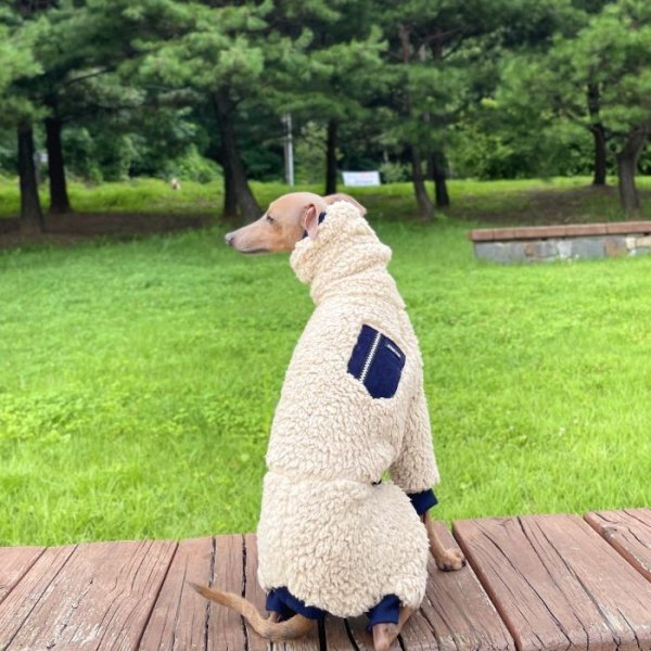 画像14: イタグレ服 XL 2XL 3XL セール ボア ポケット フリース ロンパース つなぎ 小型犬 中型犬 大型犬 冬服 doggystar ドッギースター 即日発送致します (14)