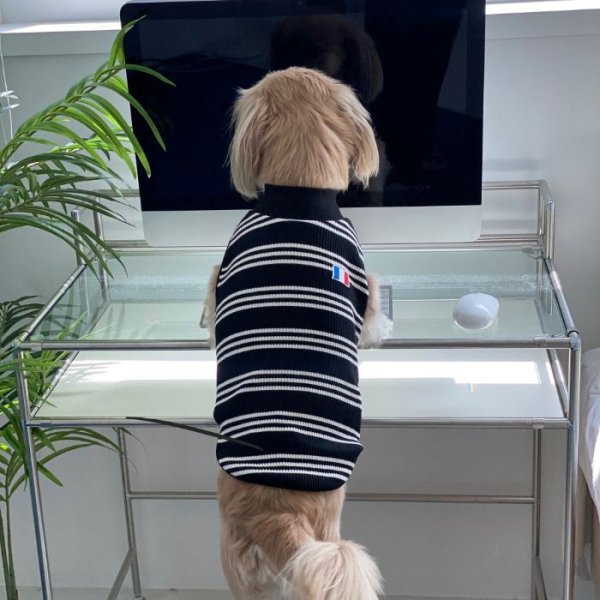 画像19: 犬服 ボーダー フランス シンプル Tシャツ S M L XL 2XL 3XL 4XL 5XL 6XL 小型犬 中型犬 大型犬 春 夏 秋 冬 袖なし おしゃれ ペット服 doggystar ドッギースター 即日発送致します (19)