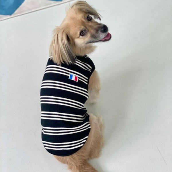 画像18: 犬服 ボーダー フランス シンプル Tシャツ S M L XL 2XL 3XL 4XL 5XL 6XL 小型犬 中型犬 大型犬 春 夏 秋 冬 袖なし おしゃれ ペット服 doggystar ドッギースター 即日発送致します (18)