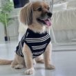 画像16: 犬服 ボーダー フランス シンプル Tシャツ 小型 犬 中型 犬 春夏秋冬 袖なし おしゃれ ペット服 doggystar 即日発送致します (16)