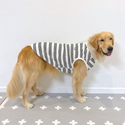 画像1: 犬服 ボーダー フランス シンプル Tシャツ 小型 犬 中型 犬 春夏秋冬 袖なし おしゃれ ペット服 doggystar 即日発送致します