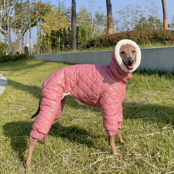 画像18: イタグレ服 セール S M L XL 2XL 3XL 中綿 キルティング ロンパース ダウンコート 小型犬 中型犬 大型犬 秋 冬 doggystar ドッギースター 即日発送致します (18)