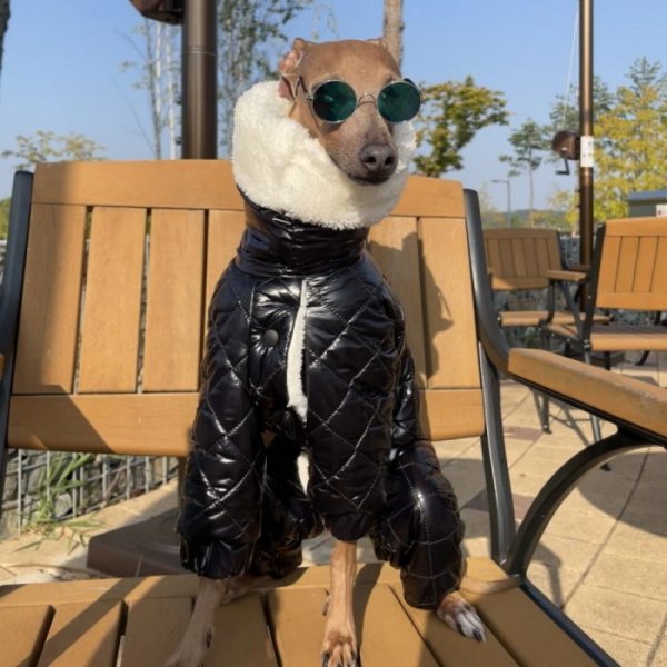 画像17: イタグレ服 セール S M L XL 2XL 3XL 中綿 キルティング ロンパース ダウンコート 小型犬 中型犬 大型犬 秋 冬 doggystar ドッギースター 即日発送致します (17)