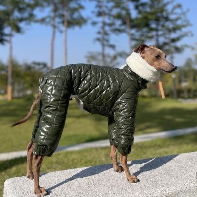 画像1: ウィペット 服 3XL中型犬 大型犬  秋冬 doggystar 中綿 キルティング ロンパース ダウンコート イタリアングレーハウンド服 即日発送致します