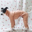 画像13: イタグレ 服 S M L XL 小型犬 中型犬 秋 冬服 doggystar レザーミンク起毛ロンパース イタリアングレーハウンド  即日出荷出来ます (13)