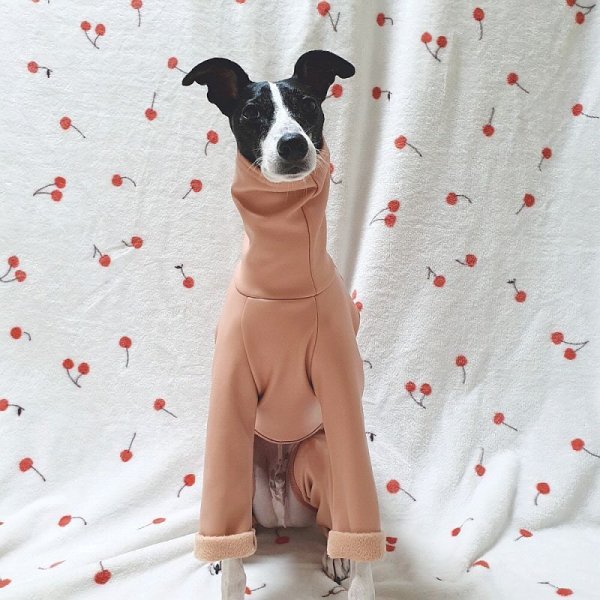 画像12: イタグレ 服 S M L XL 2XL 3XL 起毛 レザーミンク ロンパース 小型犬 中型犬 大型犬 秋 冬服 doggystar ドッギースター 即日発送出来ます (12)