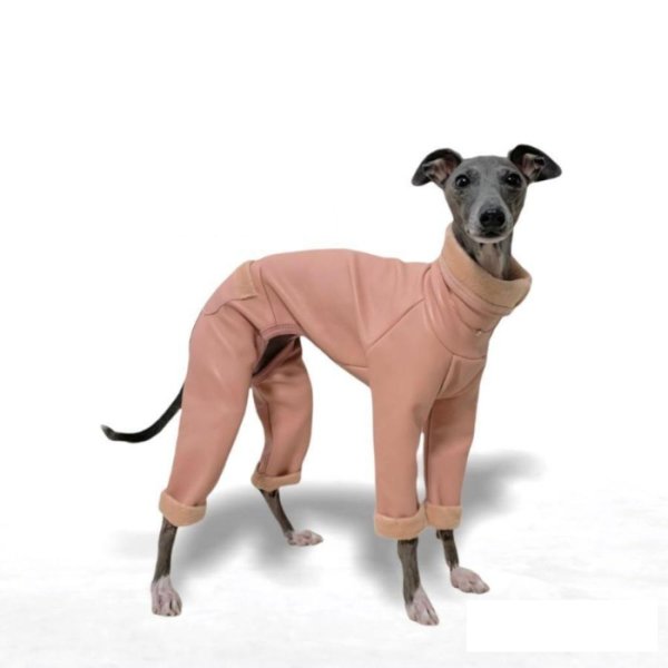 画像11: イタグレ 服 S M L XL 2XL 3XL 起毛 レザーミンク ロンパース 小型犬 中型犬 大型犬 秋 冬服 doggystar ドッギースター 即日発送出来ます (11)