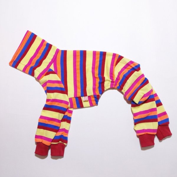 画像11: イタグレ 服 S M L XL 2XL 3XL カラフル ボーダー ロンパース つなぎ 小型犬 中型犬 大型犬 春 夏 秋 冬  室内着 パジャマ doggystar ドッギースター 即日発送出来ます (11)