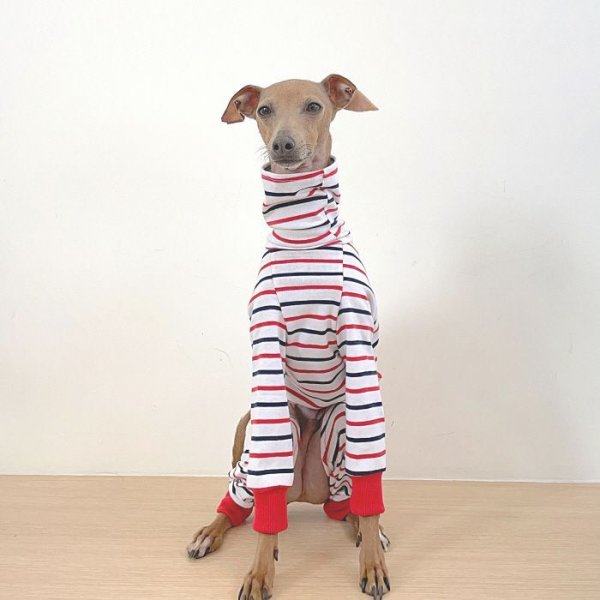 画像22: イタグレ 服 S M L XL 2XL 3XL カラフル ボーダー ロンパース つなぎ 小型犬 中型犬 大型犬 春 夏 秋 冬  室内着 パジャマ doggystar ドッギースター 即日発送出来ます (22)