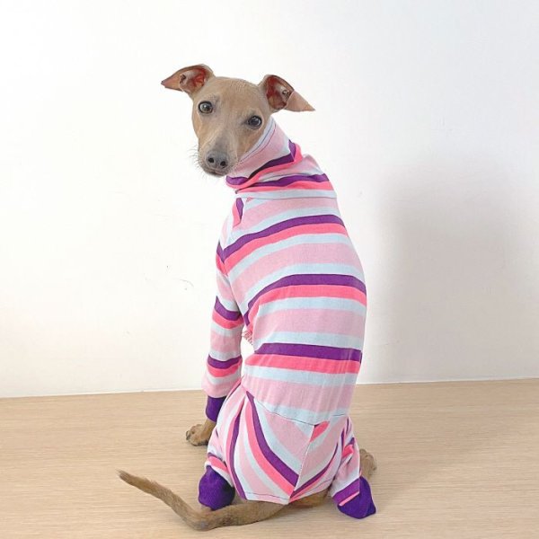 画像14: イタグレ 服 S M L XL 2XL 3XL カラフル ボーダー ロンパース つなぎ 小型犬 中型犬 大型犬 春 夏 秋 冬  室内着 パジャマ doggystar ドッギースター 即日発送出来ます (14)
