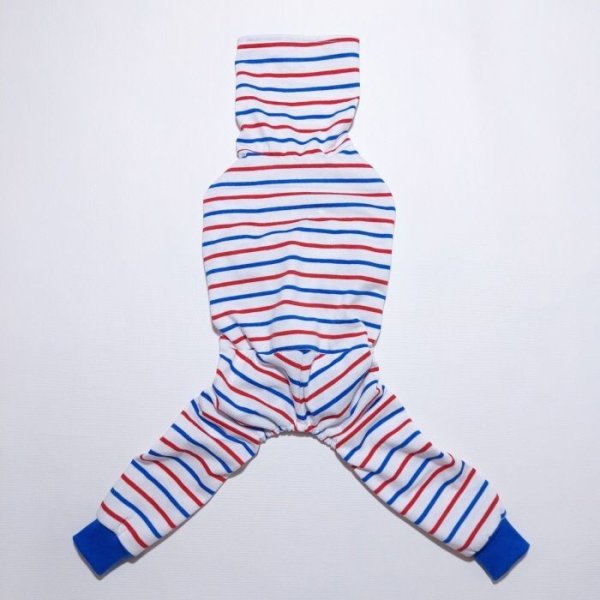 画像20: イタグレ 服 S M L XL 2XL 3XL カラフル ボーダー ロンパース つなぎ 小型犬 中型犬 大型犬 春 夏 秋 冬  室内着 パジャマ doggystar ドッギースター 即日発送出来ます (20)