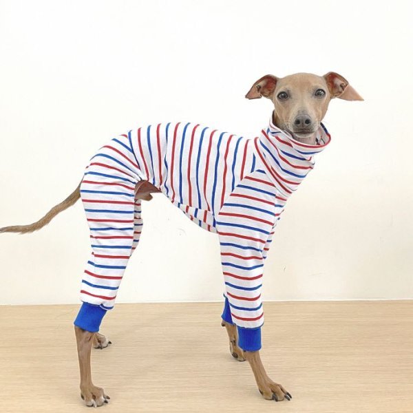 画像18: イタグレ 服 S M L XL 2XL 3XL カラフル ボーダー ロンパース つなぎ 小型犬 中型犬 大型犬 春 夏 秋 冬  室内着 パジャマ doggystar ドッギースター 即日発送出来ます (18)