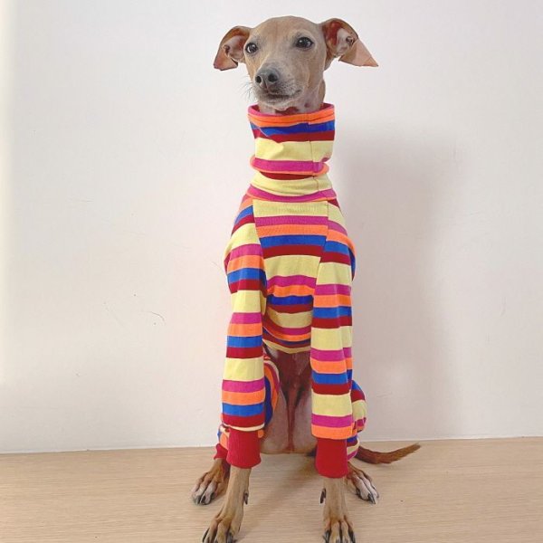 画像10: イタグレ 服 S M L XL 2XL 3XL カラフル ボーダー ロンパース つなぎ 小型犬 中型犬 大型犬 春 夏 秋 冬  室内着 パジャマ doggystar ドッギースター 即日発送出来ます (10)
