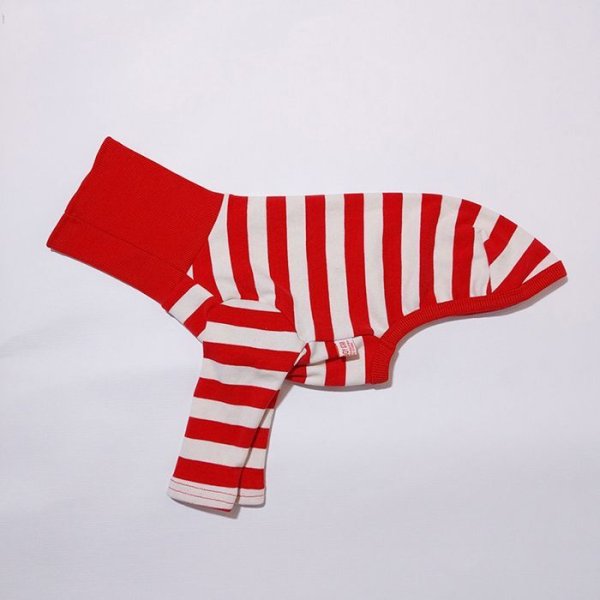 画像4: イタグレ 服 S M L XL 2XL 3XL カラフル 長袖ボーダーTシャツ 小型 犬 中型犬 大型犬 春 夏 秋 冬 doggystar ドッギースター 室内着 パジャマ 即日発送出来ます (4)