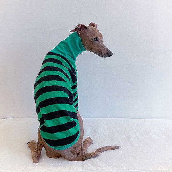 画像20: イタグレ 服 S M L XL 2XL 3XL カラフル 長袖ボーダーTシャツ 小型 犬 中型犬 大型犬 春 夏 秋 冬 doggystar ドッギースター 室内着 パジャマ 即日発送出来ます (20)