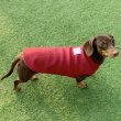 画像21: ダックスフンド 服 Tシャツ 無地 小型犬 中型犬 S M L XL 春夏秋冬 ダックス おしゃれ 犬 洋服 doggystar ドッギースター 即日発送致します (21)