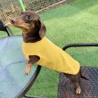 画像20: ダックスフンド 服 Tシャツ 無地 小型犬 中型犬 S M L XL 春夏秋冬 ダックス おしゃれ 犬 洋服 doggystar ドッギースター 即日発送致します (20)