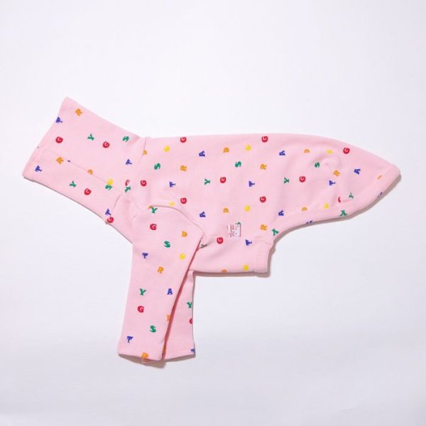 画像10: イタグレ服 アルファベットTシャツ S M L XL 2XL 3XL 小型犬 中型犬 春夏秋冬室内着 パジャマ doggystar ドッギースター 即日発送出来ます (10)