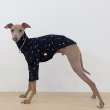 画像11: イタグレ服 S M L XL 小型犬 中型犬 春夏秋冬 doggystarアルファベットTシャツ 室内着 パジャマ 即日発送出来ます (11)