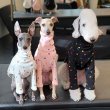 画像1: イタグレ服 S M L XL 小型犬 中型犬 春夏秋冬 doggystarアルファベットTシャツ 室内着 パジャマ 即日発送出来ます (1)