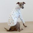 画像3: イタグレ服 アルファベットTシャツ S M L XL 2XL 3XL 小型犬 中型犬 春夏秋冬室内着 パジャマ doggystar ドッギースター 即日発送出来ます (3)