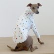 画像3: イタグレ服 S M L XL 小型犬 中型犬 春夏秋冬 doggystarアルファベットTシャツ 室内着 パジャマ 即日発送出来ます (3)