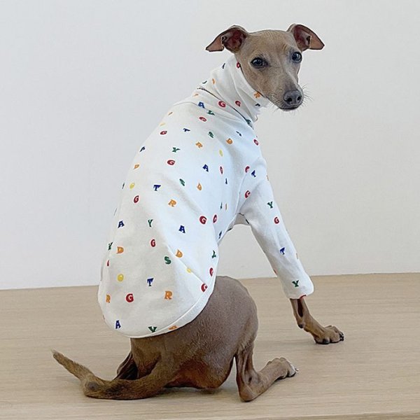 画像3: イタグレ服 アルファベットTシャツ S M L XL 2XL 3XL 小型犬 中型犬 春夏秋冬室内着 パジャマ doggystar ドッギースター 即日発送出来ます (3)