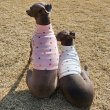 画像23: ベドリントンテリア服 2XL 中型犬 大型犬 春 夏服 doggystarアルファベットクロップド トップス ショート丈Tシャツ (23)