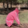 画像29: ウィペット服 3XL 中型犬 大型犬 春 初秋 秋 doggystar タオル地 ロンパース  つなぎ 即日発送致します (29)