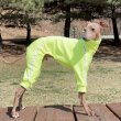 画像31: ウィペット服 3XL 中型犬 大型犬 春 初秋 秋 doggystar タオル地 ロンパース  つなぎ 即日発送致します (31)