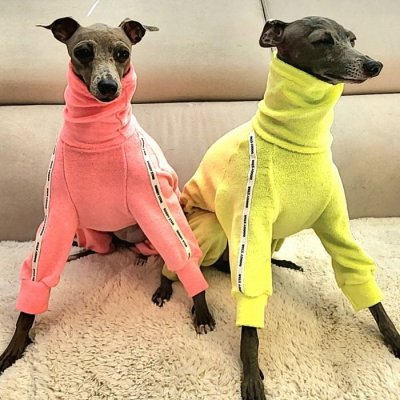 画像3: ウィペット服 3XL 中型犬 大型犬 春 初秋 秋 doggystar タオル地 ロンパース  つなぎ 即日発送致します