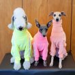 画像31: ベドリントンテリア服 2XL 中型犬 大型犬 春 初秋 秋 doggystar タオル地 ロンパース  即日発送致します (31)