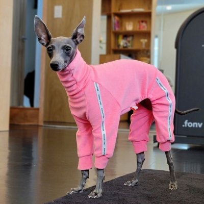 画像2: イタグレ服 S M L XL 小型犬 中型犬 春 初秋 秋 doggystar タオル地 ロンパース  即日発送出来ます