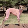 画像26: ベドリントンテリア服 2XL 中型犬 大型犬 春 初秋 秋 doggystar タオル地 ロンパース  即日発送致します (26)