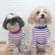 画像1: 犬服 Tシャツ ボーダー シンプル 長袖 綿 室内着  小型犬 中型犬 春 初夏 秋 S M L XL  (1)