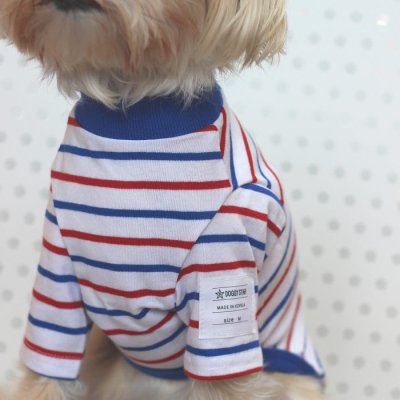 画像1: 犬服 Tシャツ ボーダー シンプル 長袖 綿 室内着  小型犬 中型犬 春 初夏 秋 S M L XL 