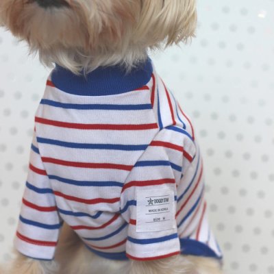 画像1: 大型 犬 服 3XL Tシャツ ボーダー シンプル 長袖 綿 室内着  大型犬 春 初夏 秋 