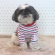 画像11: 犬服 Tシャツ ボーダー シンプル 長袖 綿 室内着  小型犬 中型犬 春 初夏 秋 S M L XL  (11)