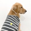 画像16: 大型犬 服 4XL Tシャツ スマイル ボーダー シンプル 袖なし 大型犬 春夏秋冬  (16)