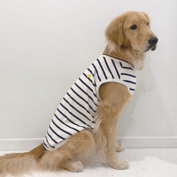 画像1: 大型犬 服 6XL Tシャツ スマイル ボーダー シンプル 袖なし 大型犬 春夏秋冬  (1)