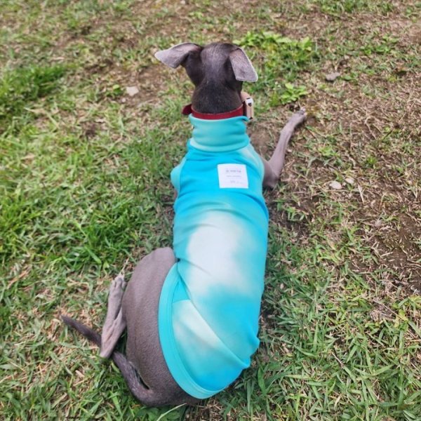 画像22: イタグレ服 S M L XL 2XL 3XL 接触冷感 クールベスト 小型犬 中型犬 大型犬 夏服 熱中症対策 doggystar ドッギースター 蛍光色 即日発送致します (22)